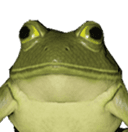 Deadlock frog staring into your soul